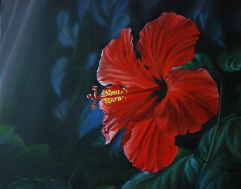 Hibiscus