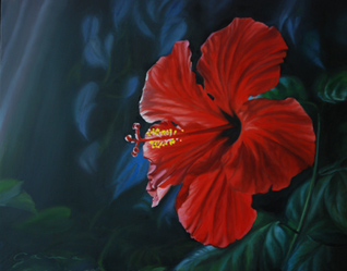Hibiscus